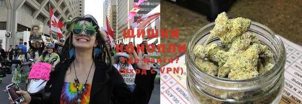 PSILOCYBIN Алексеевка