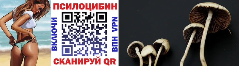 Галлюциногенные грибы Psilocybe  Асбест 